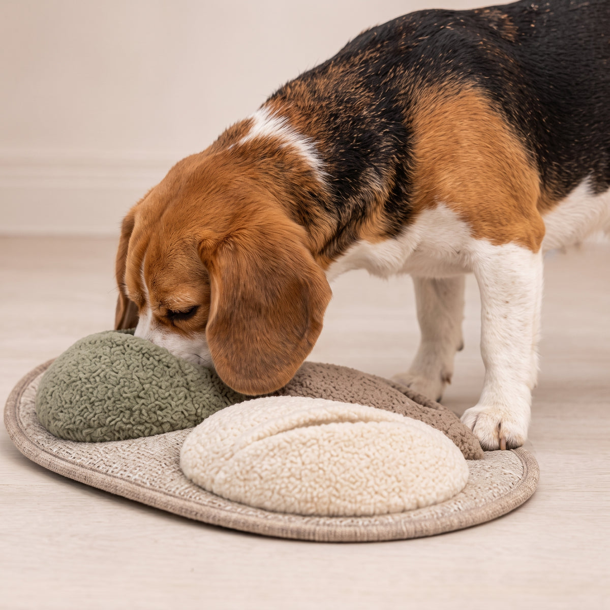 Tevqari™Pebble Dog Snuffle Puzzle