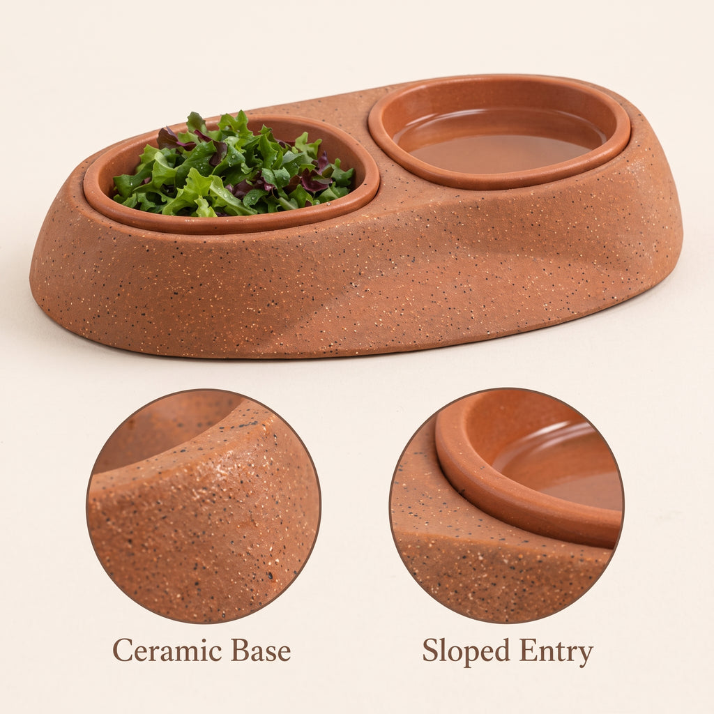 Tevqari™ Terra Tortoise Feeding Dish
