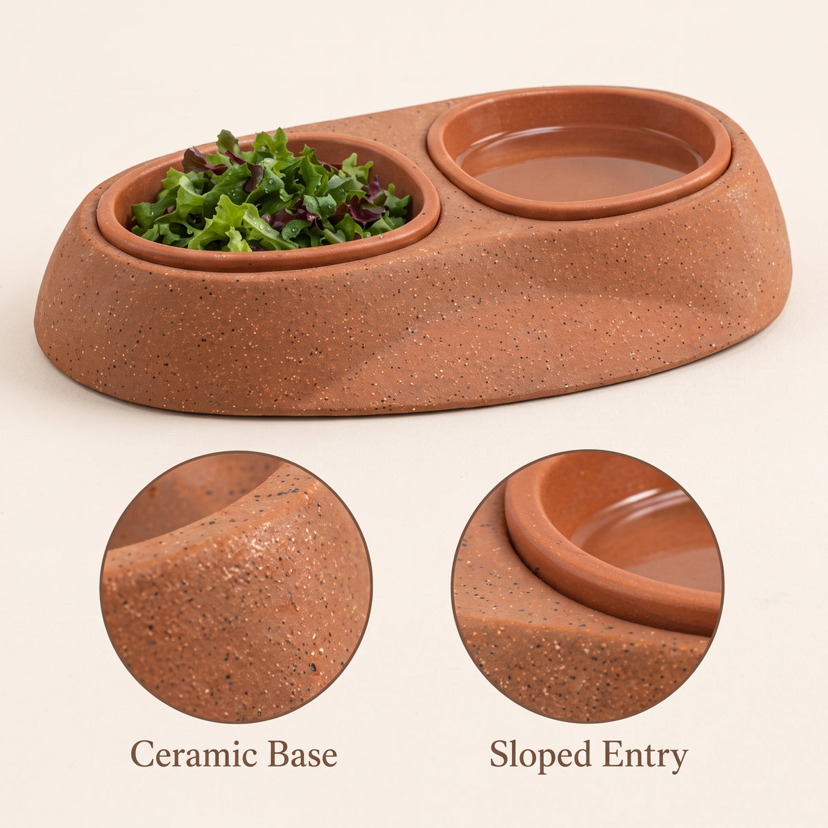 Tevqari™ Terra Tortoise Feeding Dish