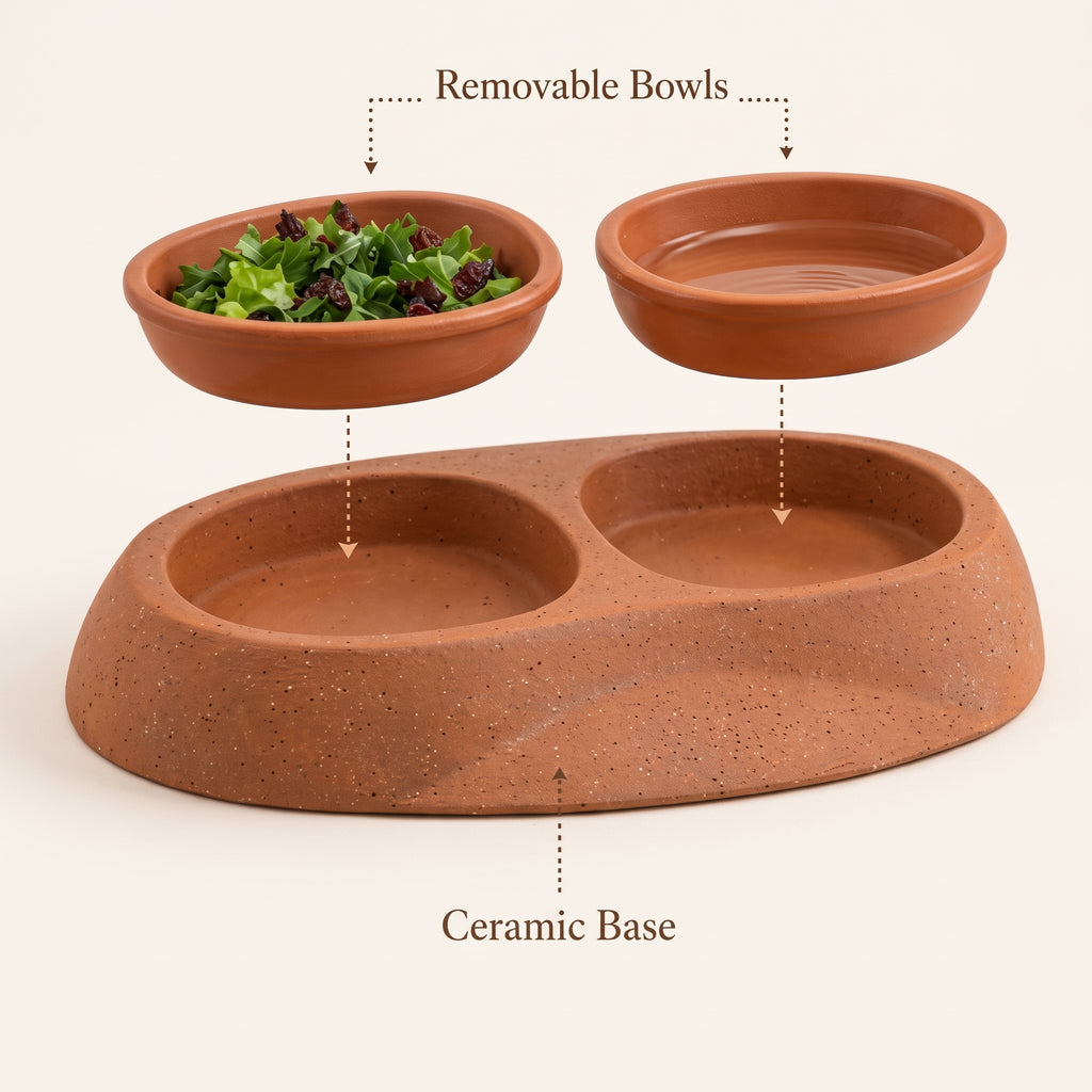 Tevqari™ Terra Tortoise Feeding Dish